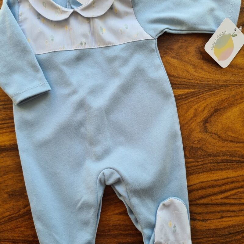 Babygrow Leaves